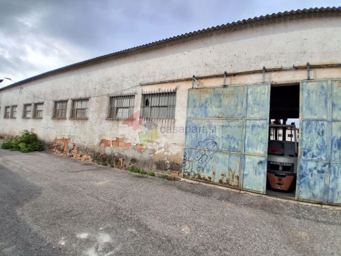 Loja para Venda em Ponte de Sor, Tramaga e Vale de Açor Foto 3