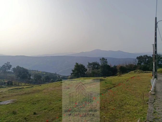 Terreno para Venda em Oliveira do Hospital e São Paio de Gramaços Foto 6