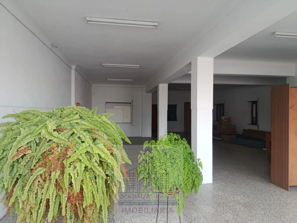 Loja para Arrendamento em Oliveira do Hospital e São Paio de Gramaços Foto 5