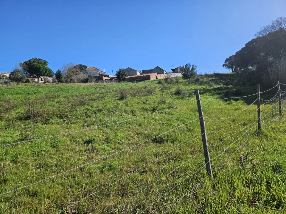 Terreno para Venda em Salir de Matos Foto 1