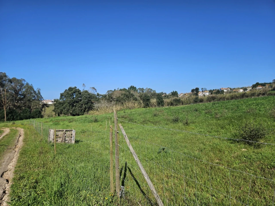 Terreno para Venda em Salir de Matos Foto 3
