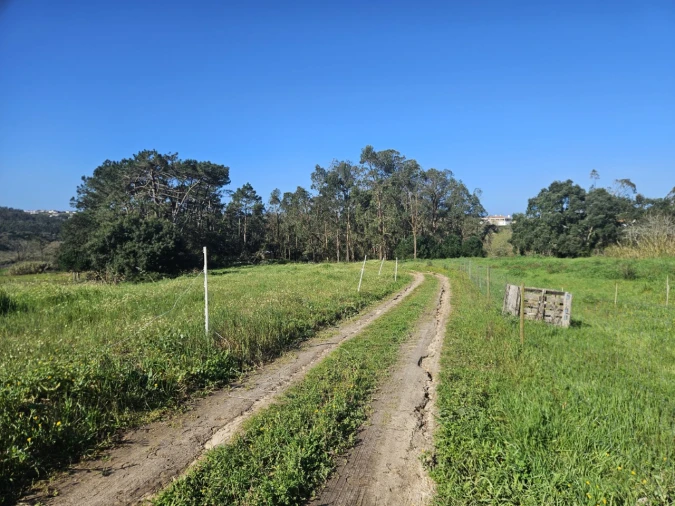 Terreno para Venda em Salir de Matos Foto 2