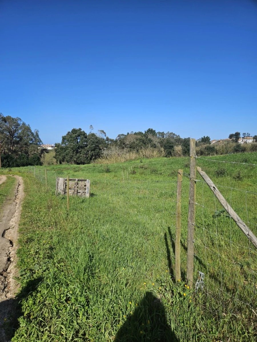 Terreno para Venda em Salir de Matos Foto 4