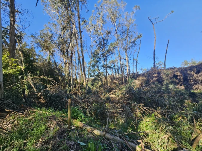 Terreno para Venda em Salir de Matos Foto 6
