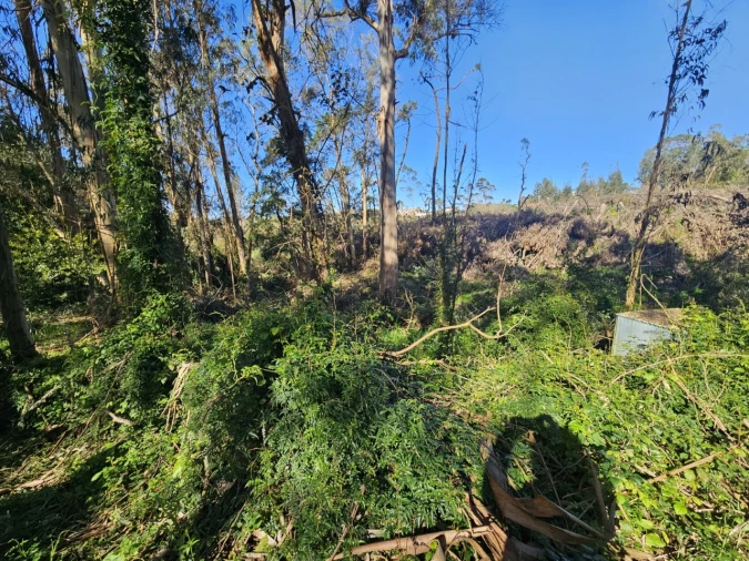 Terreno para Venda em Salir de Matos Foto 11