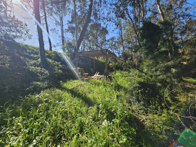 Terreno para Venda em Salir de Matos Foto 12