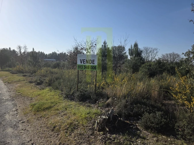 Terreno Agricola ou Rústico para Venda em Lagos da Beira e Lajeosa Foto 1