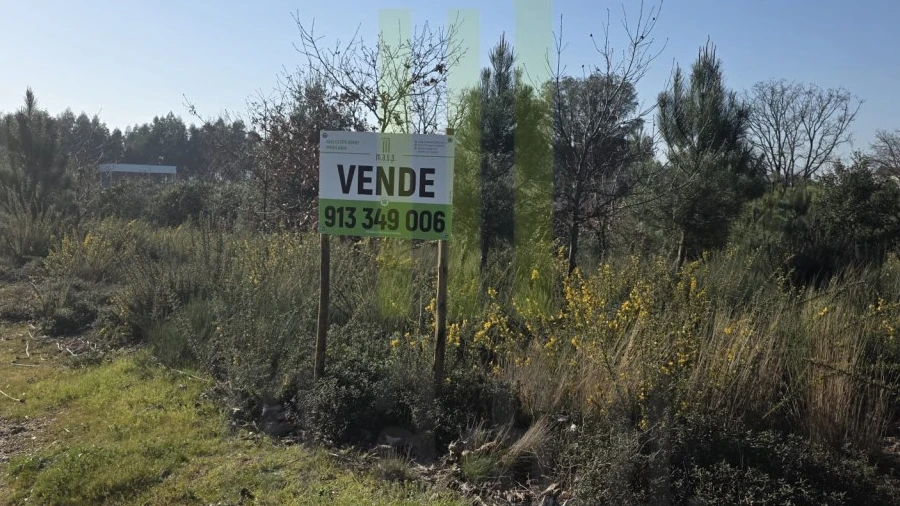Terreno Agricola ou Rústico para Venda em Lagos da Beira e Lajeosa