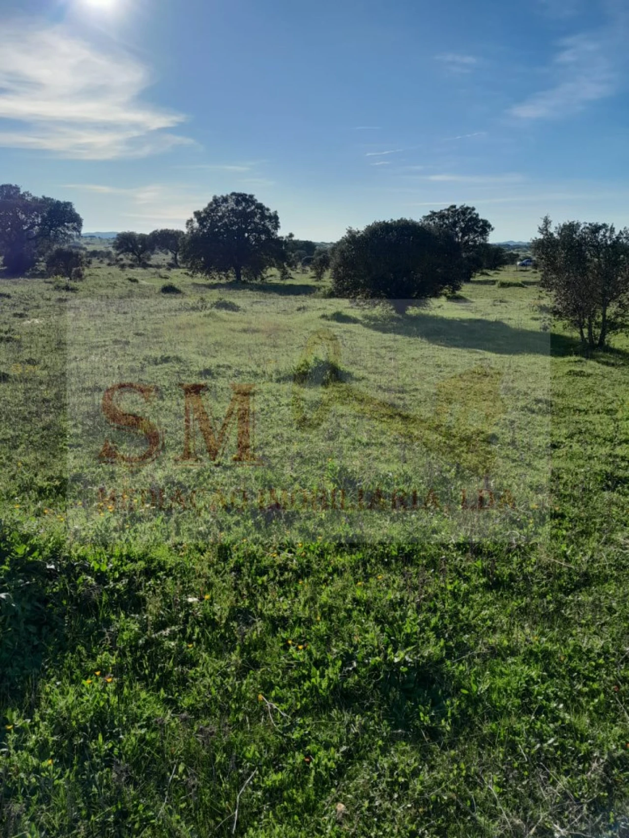 Terreno Agricola ou Rústico para Venda em Capelins (Santo Antonio) Foto 1