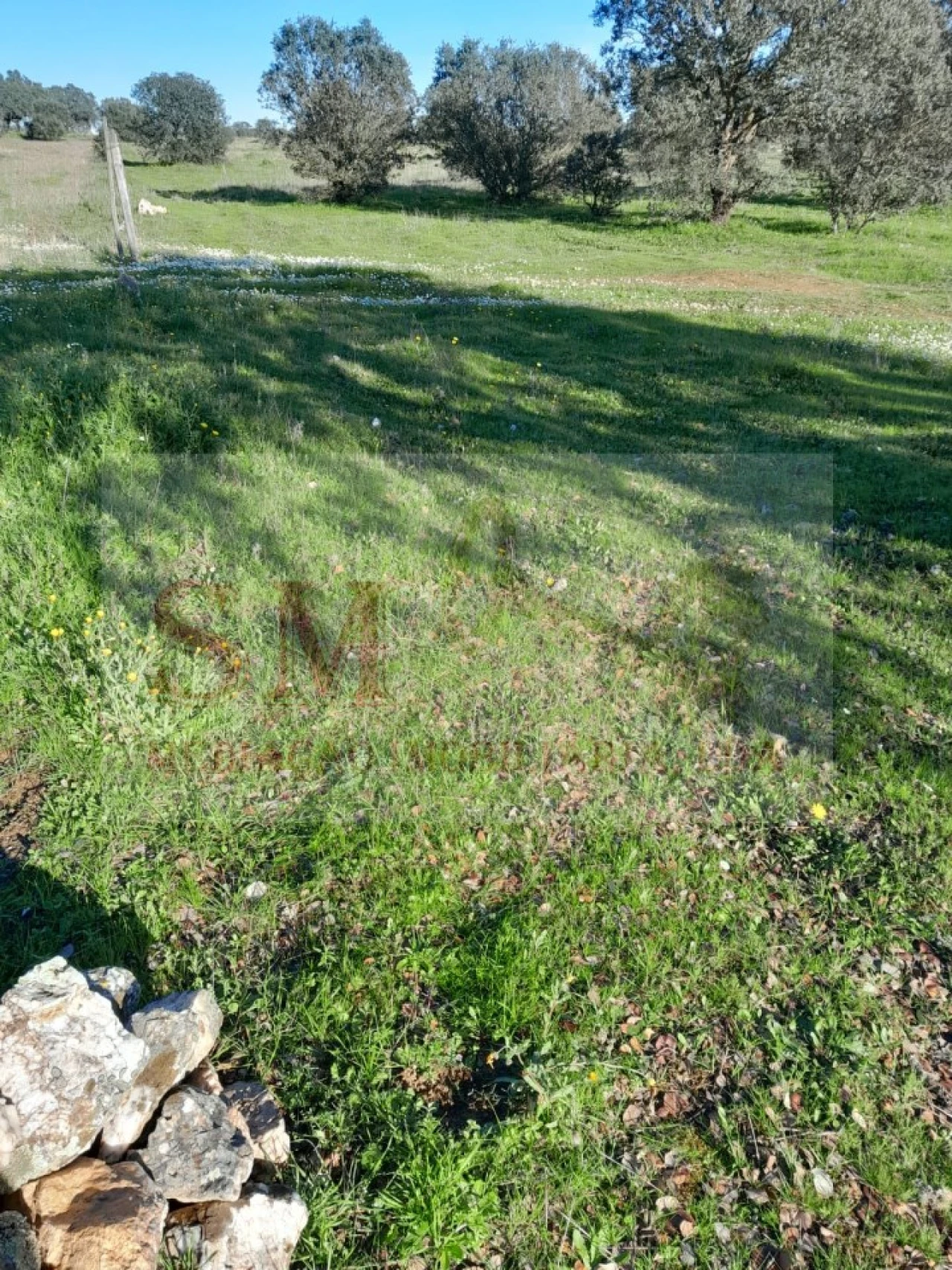 Terreno Agricola ou Rústico para Venda em Capelins (Santo Antonio) Foto 3