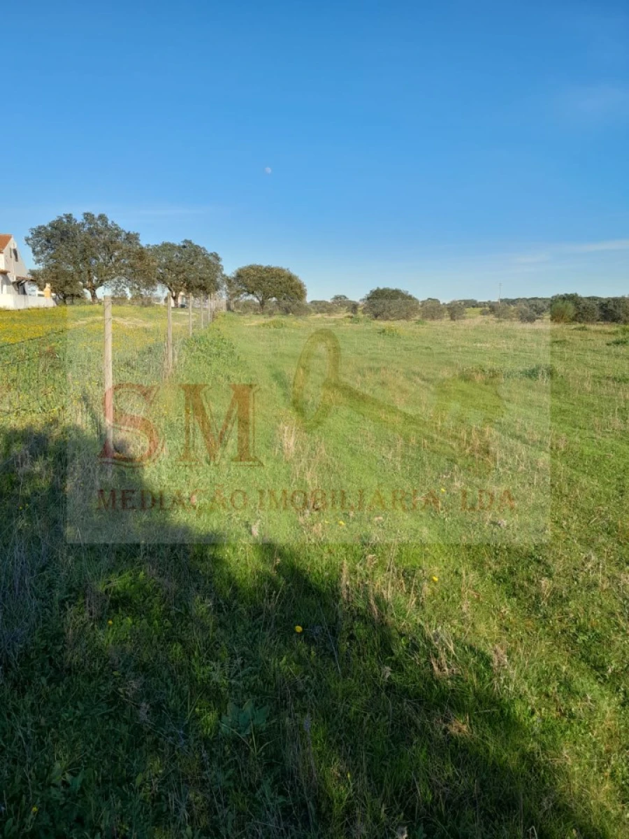 Terreno Agricola ou Rústico para Venda em Capelins (Santo Antonio) Foto 2