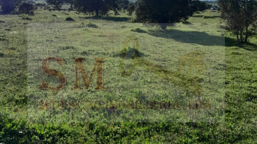 Terreno Agricola ou Rústico para Venda em Capelins (Santo Antonio)
