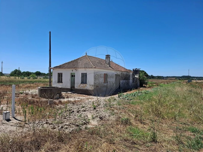 Moradia T2 para Venda em Salvaterra de Magos e Foros de Salvaterra Foto 3