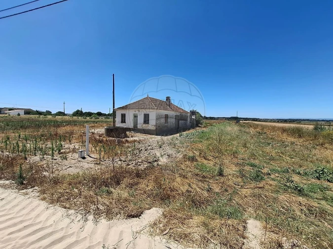 Moradia T2 para Venda em Salvaterra de Magos e Foros de Salvaterra Foto 4