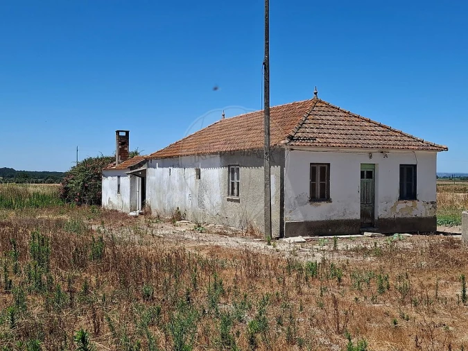 Moradia T2 para Venda em Salvaterra de Magos e Foros de Salvaterra Foto 6