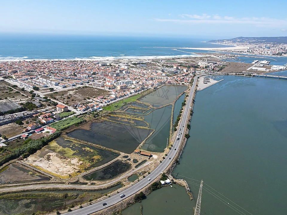 Terreno para Venda em São Pedro Foto 5