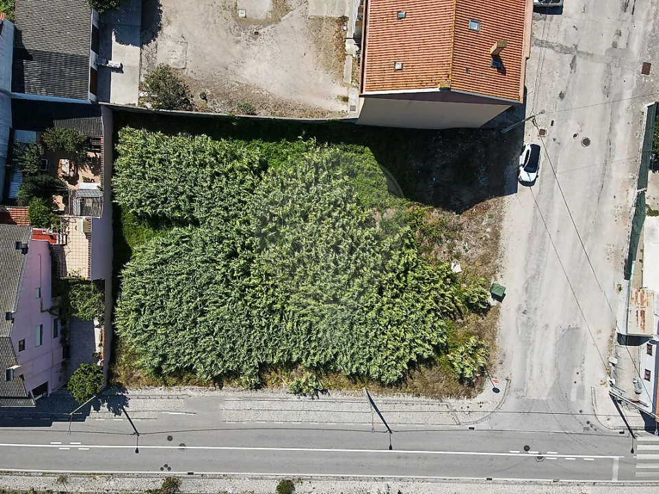 Terreno para Venda em São Pedro Foto 7