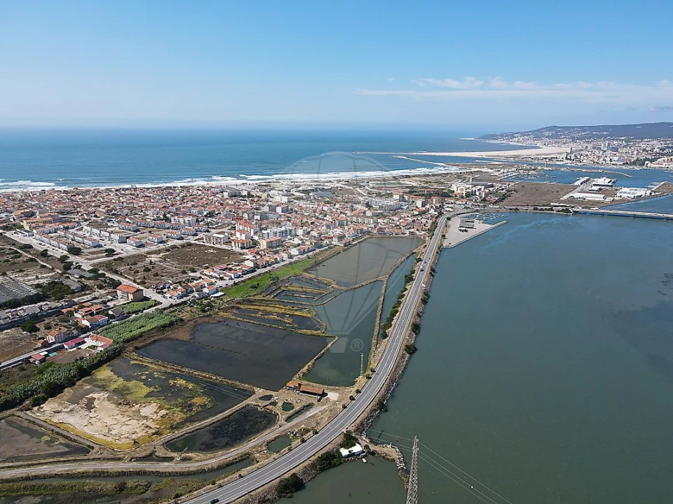 Terreno para Venda em São Pedro Foto 8