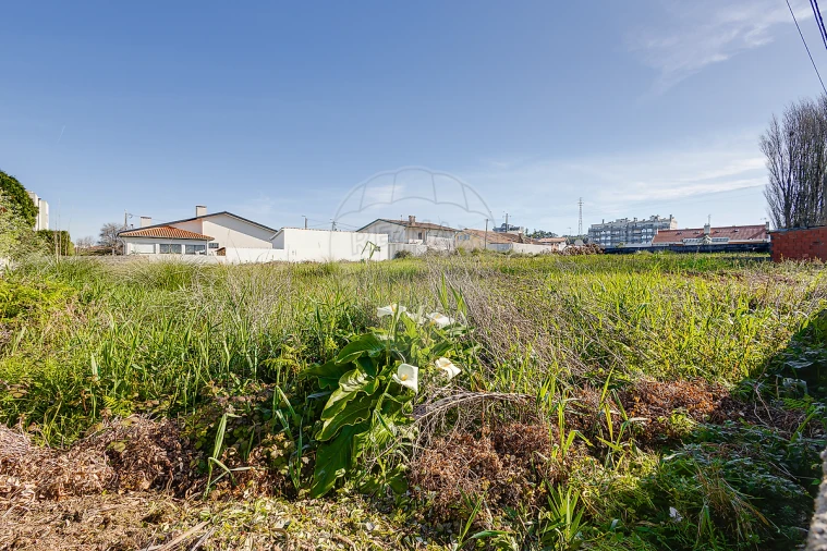 Terreno para Venda em Esmoriz Foto 10