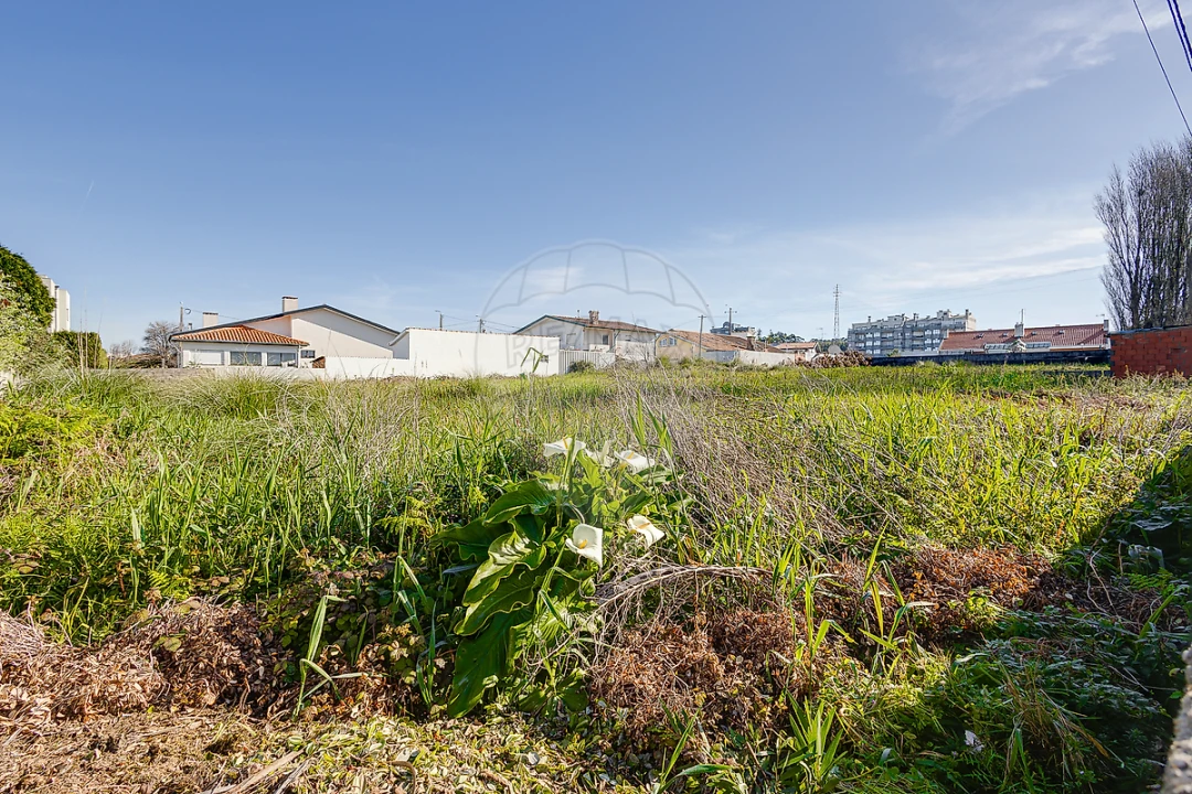 Terreno para Venda em Esmoriz Foto 10