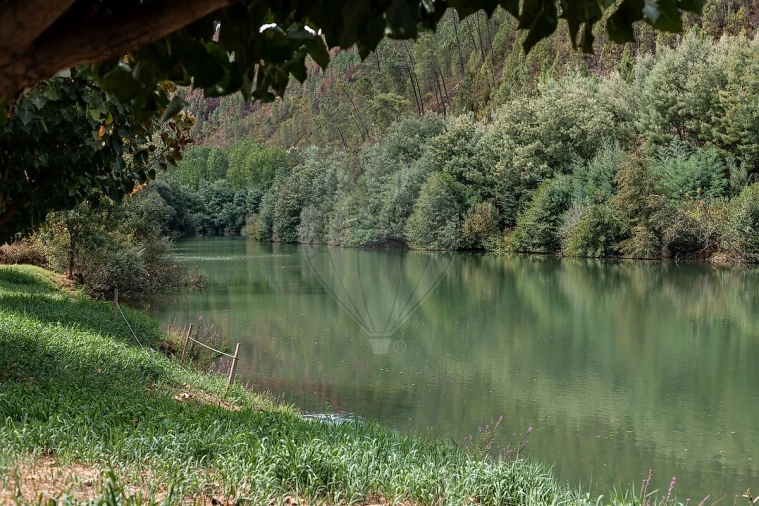 Moradia T2 para Venda em Janeiro de Baixo Foto 49