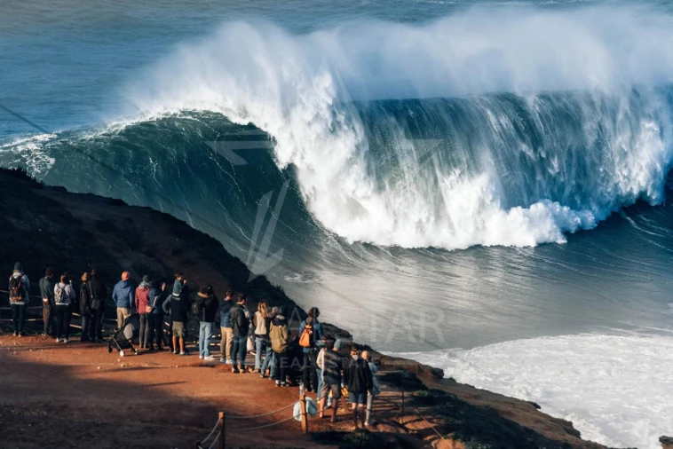 Moradia T3 para Venda em Nadadouro Foto 19