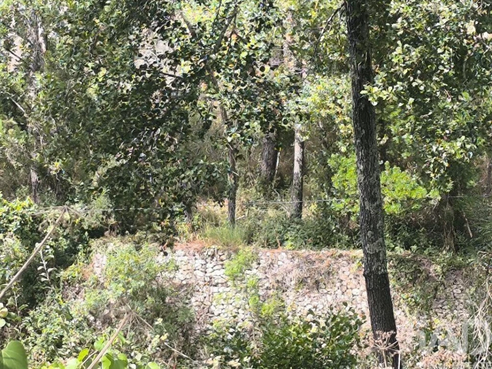 Moradia T3 para Venda em Casais e Alviobeira Foto 31