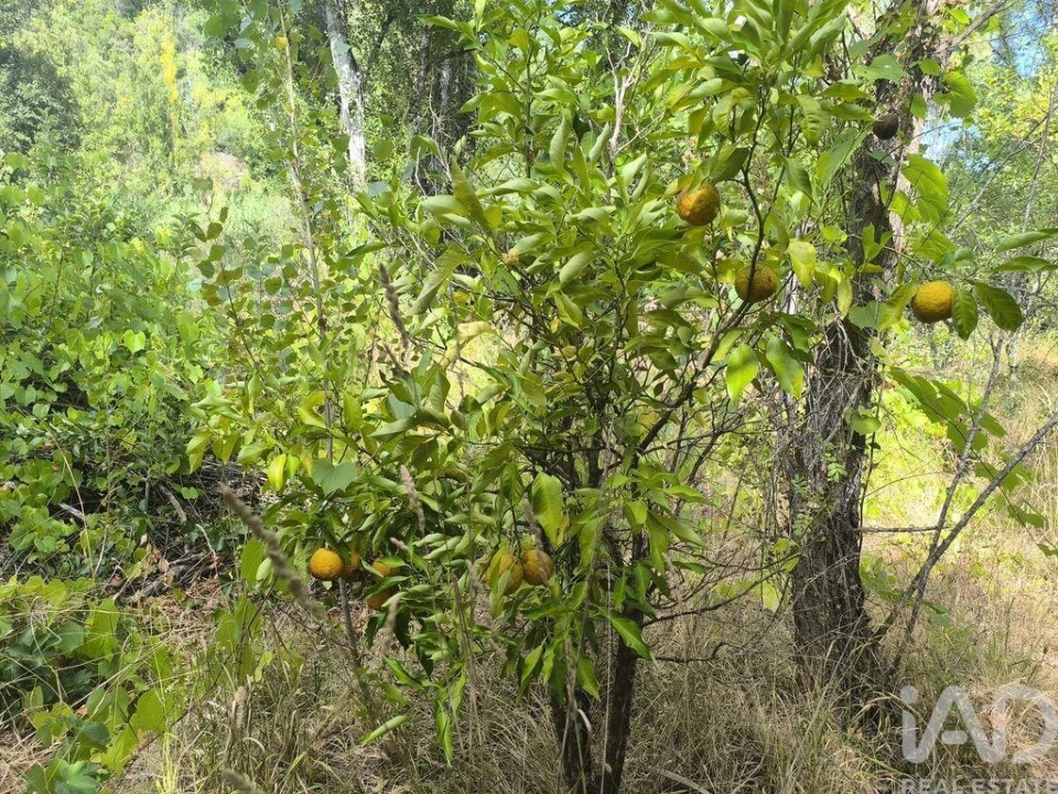 Moradia T3 para Venda em Casais e Alviobeira Foto 34