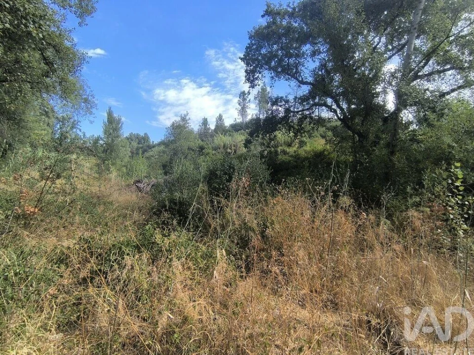 Moradia T3 para Venda em Casais e Alviobeira Foto 37