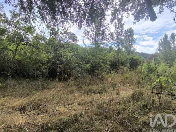 Moradia T3 para Venda em Casais e Alviobeira Foto 28