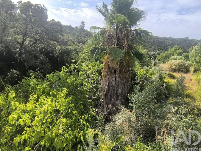 Moradia T3 para Venda em Casais e Alviobeira Foto 26