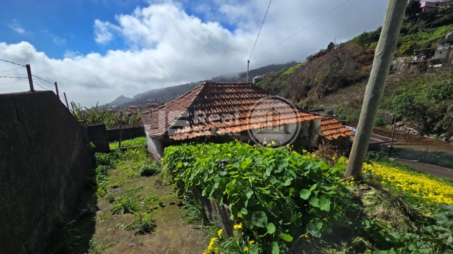 Moradia T2 para Venda em Estreito de Camara de Lobos Foto 4