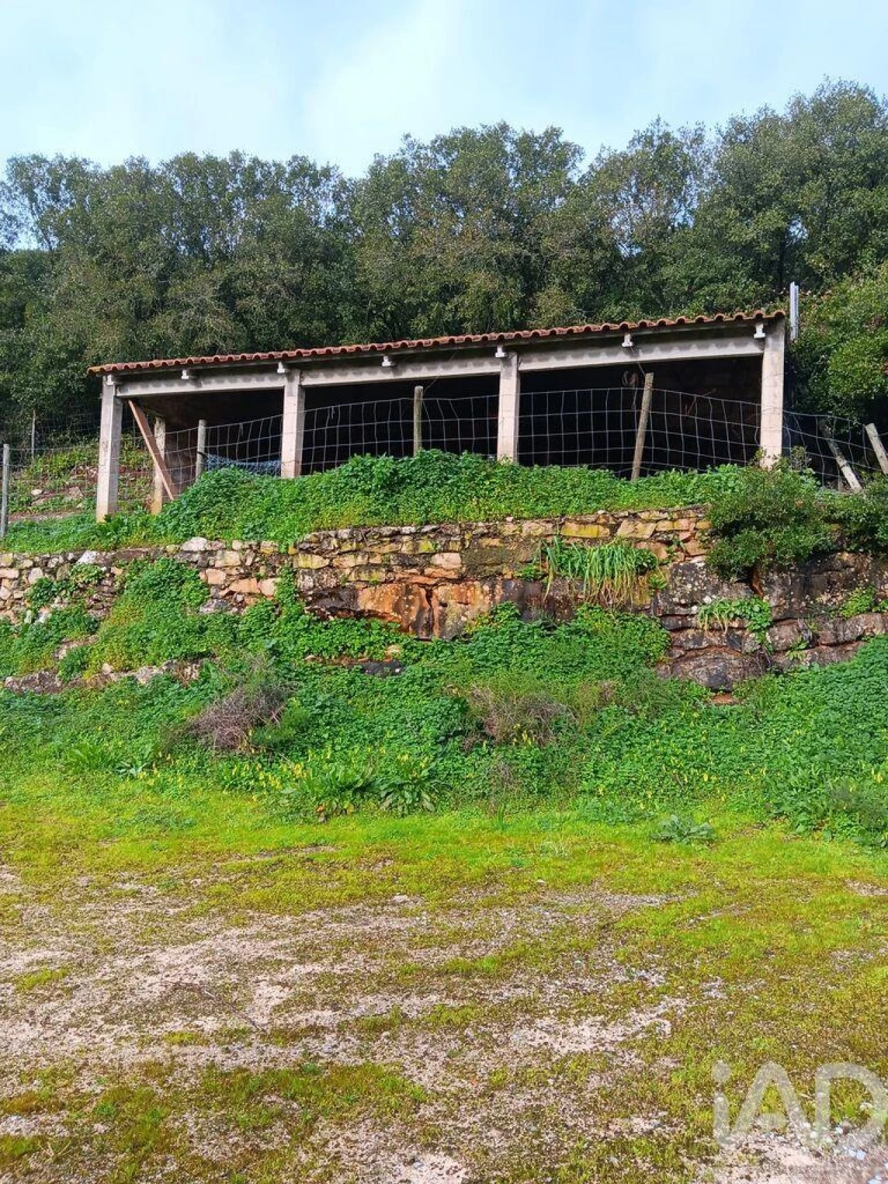 Moradia T4 para Venda em Alcobaça e Vestiaria Foto 5