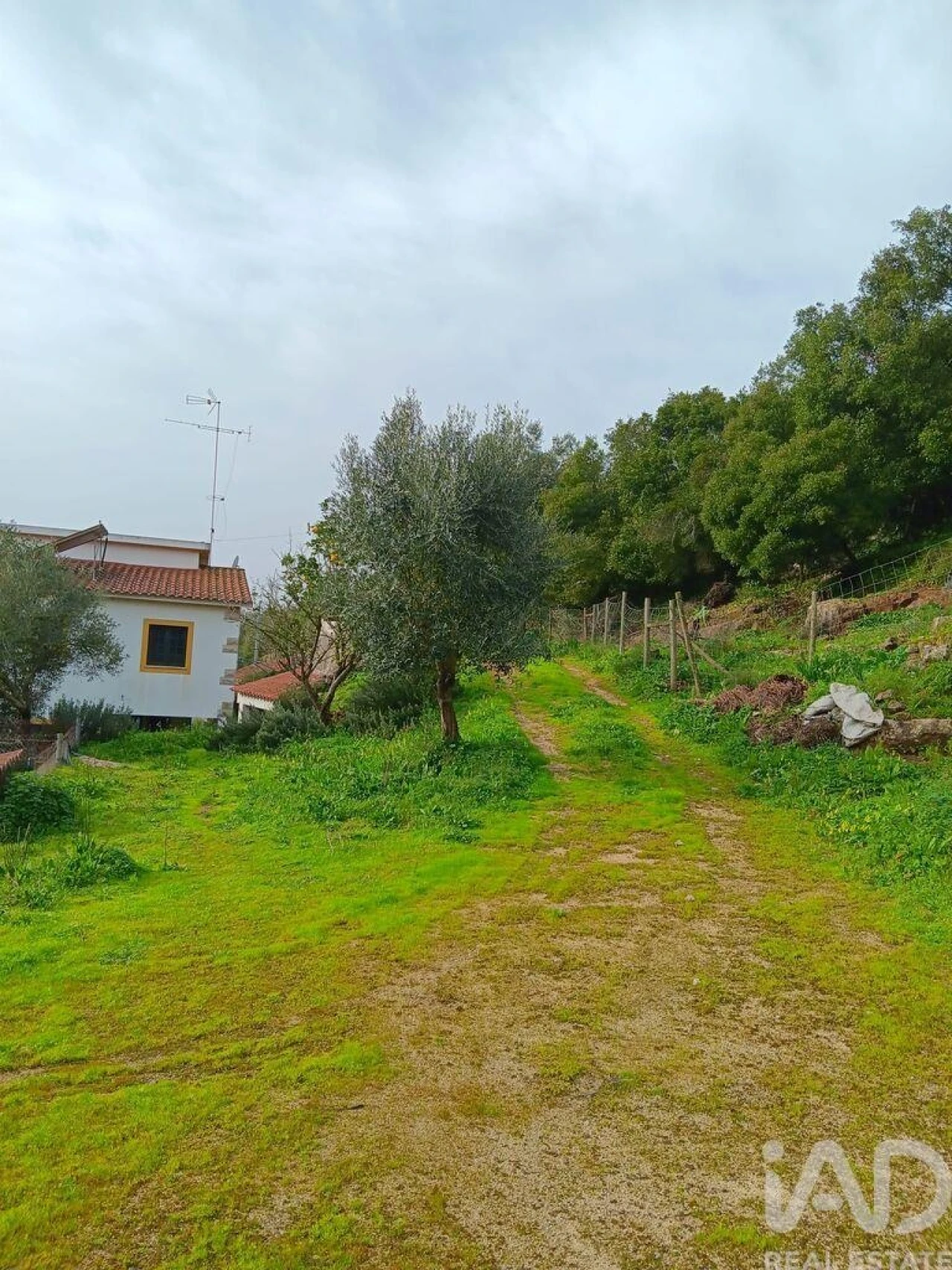 Moradia T4 para Venda em Alcobaça e Vestiaria Foto 3