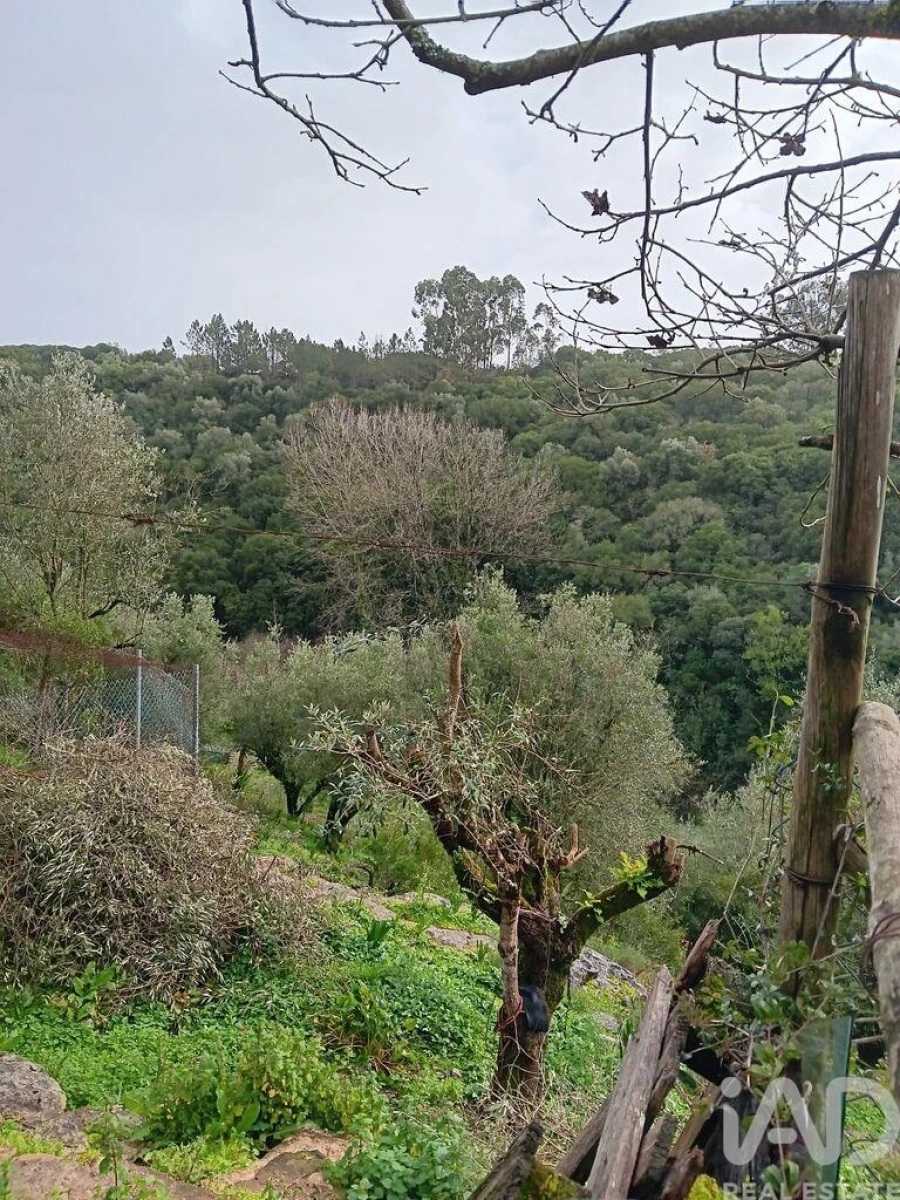 Moradia T4 para Venda em Alcobaça e Vestiaria Foto 6