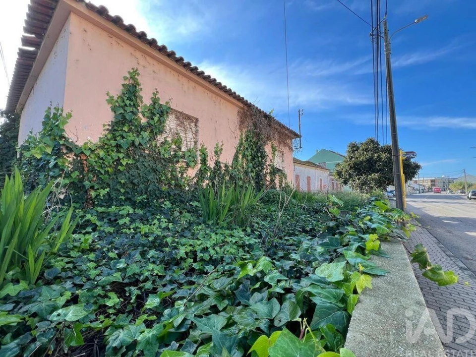 Terreno para Venda em Sado Foto 4