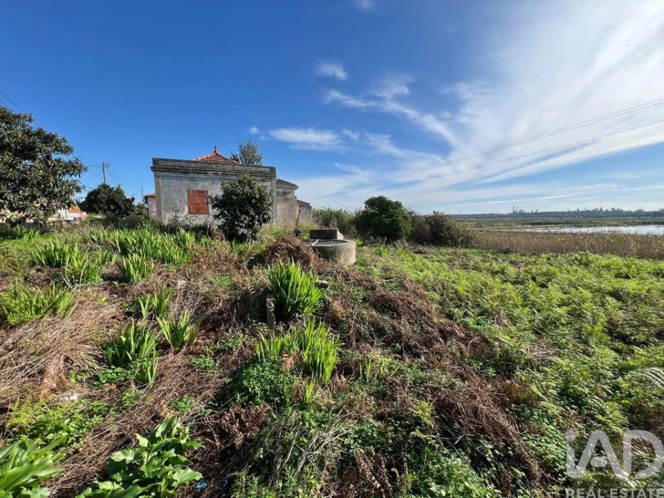 Terreno para Venda em Sado Foto 1