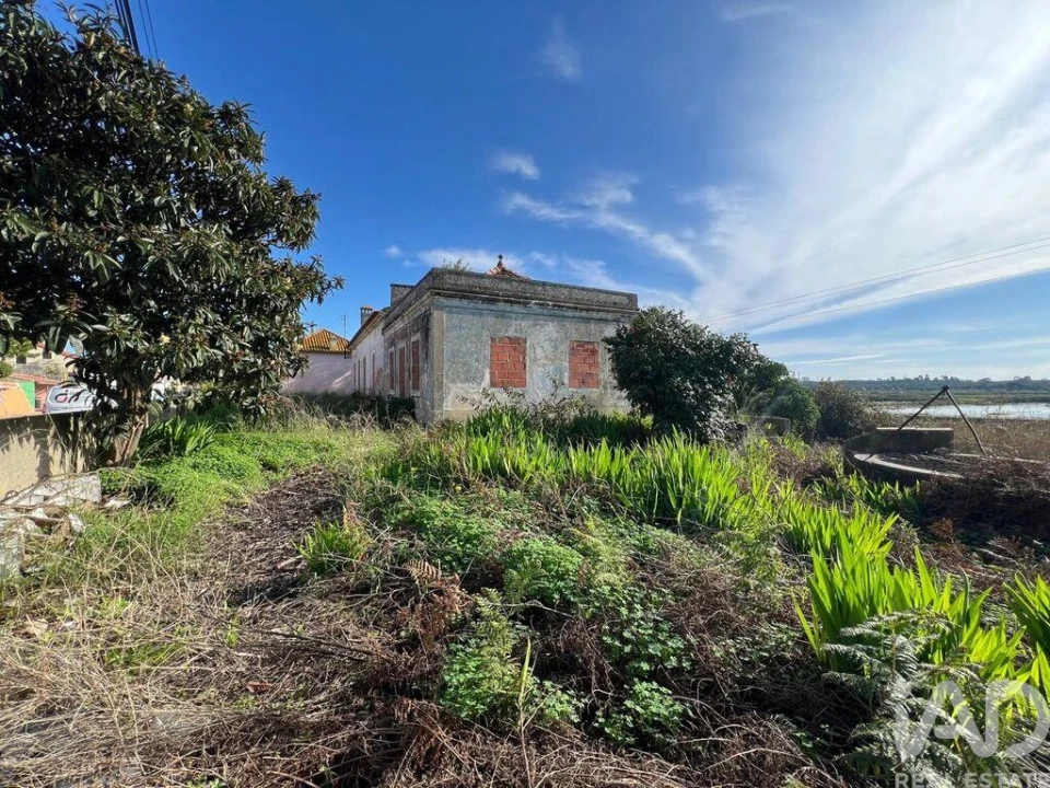 Terreno para Venda em Sado Foto 5