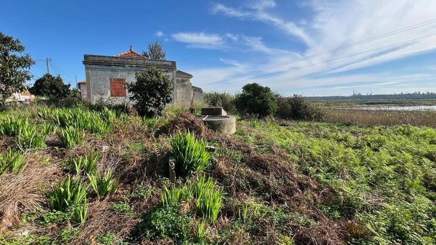 Terreno para Venda em Sado