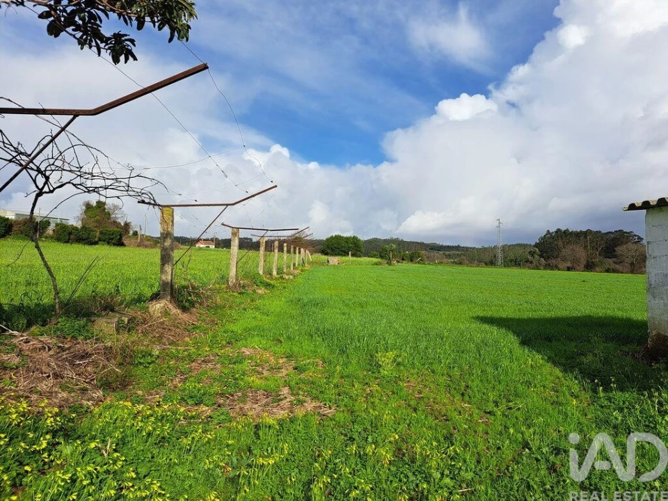 Moradia T5 para Venda em Guilhabreu Foto 27