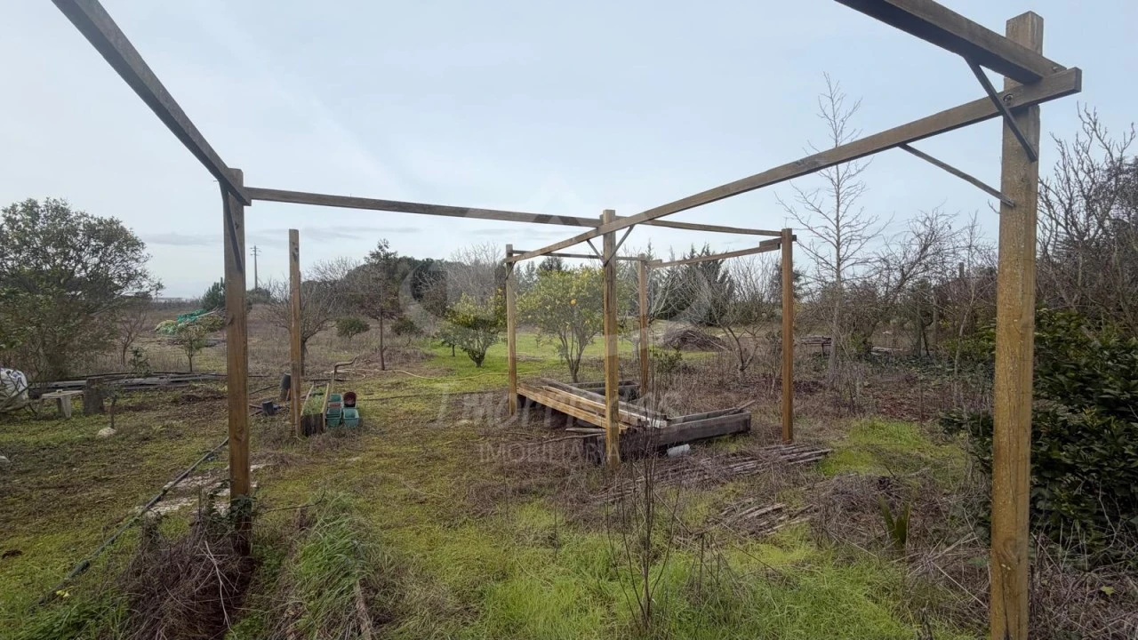 Terreno Agricola ou Rústico para Venda em Palmela Foto 13
