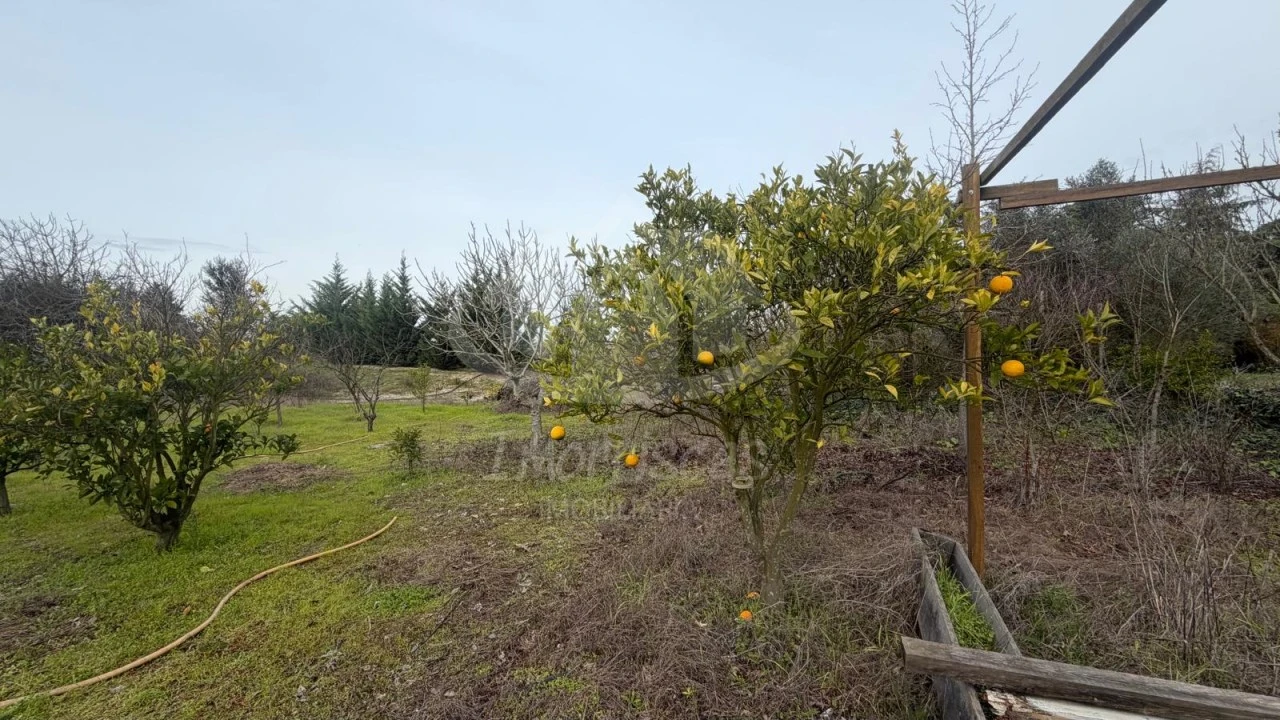 Terreno Agricola ou Rústico para Venda em Palmela Foto 3