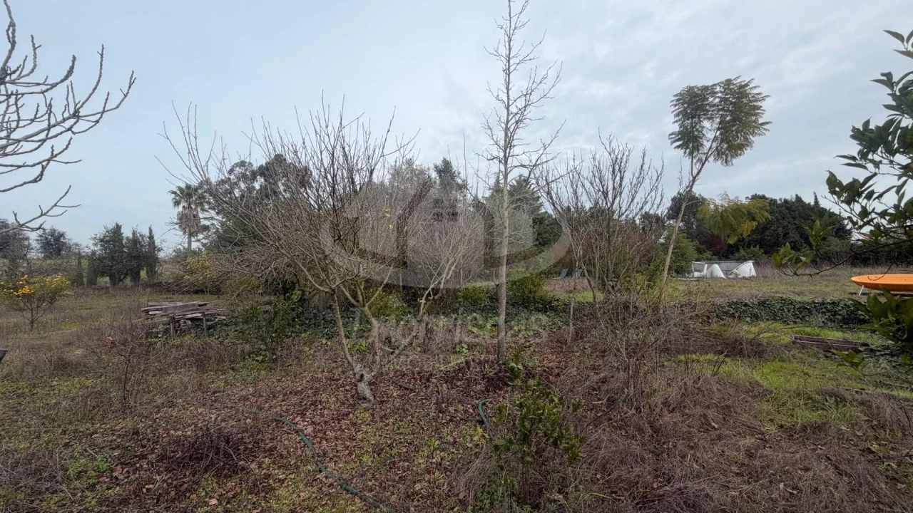 Terreno Agricola ou Rústico para Venda em Palmela Foto 5