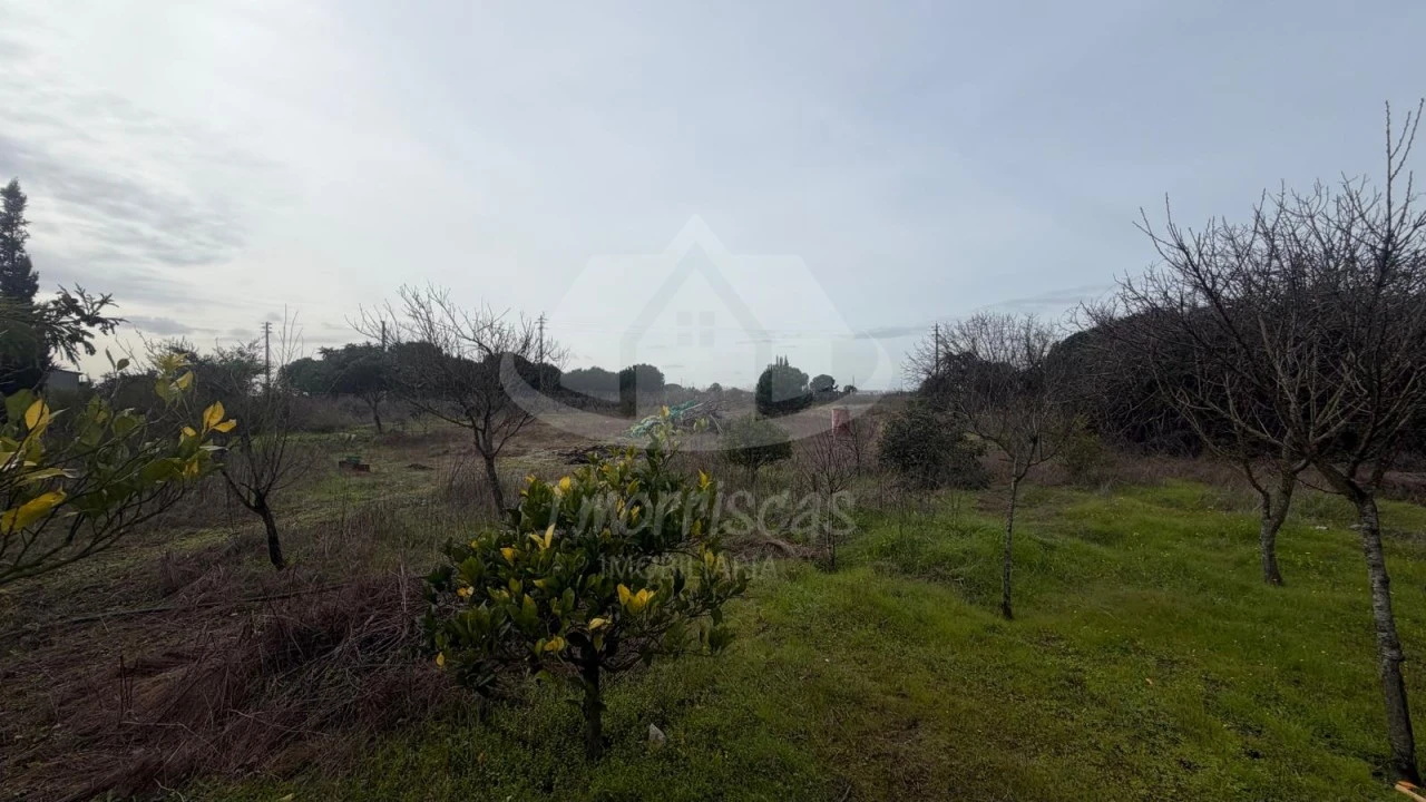 Terreno Agricola ou Rústico para Venda em Palmela Foto 2