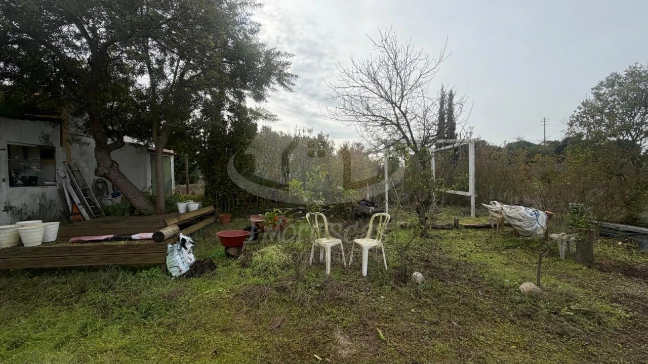 Terreno Agricola ou Rústico para Venda em Palmela Foto 14