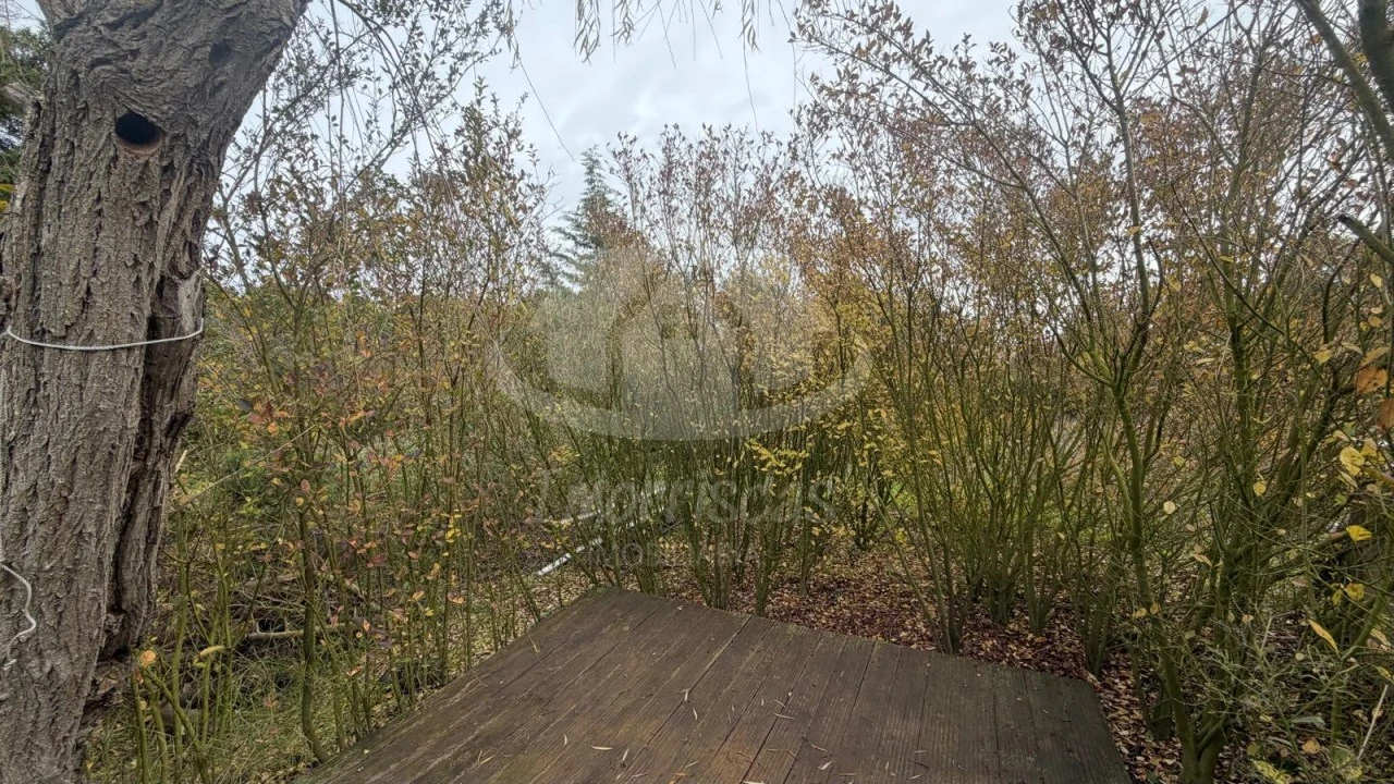 Terreno Agricola ou Rústico para Venda em Palmela Foto 10