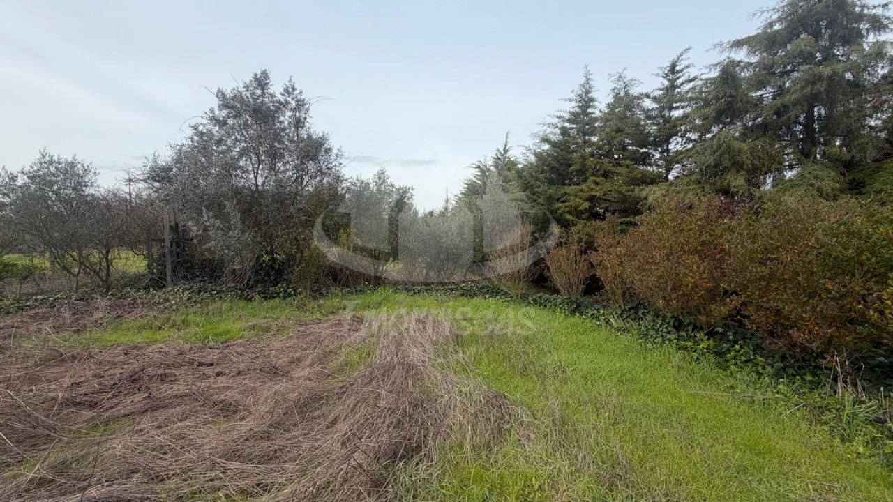 Terreno Agricola ou Rústico para Venda em Palmela Foto 7