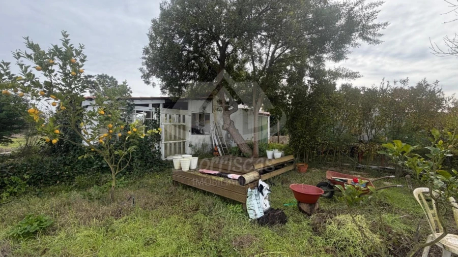 Terreno Agricola ou Rústico para Venda em Palmela Foto 16