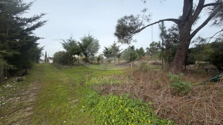 Terreno Agricola ou Rústico para Venda em Palmela Foto 8