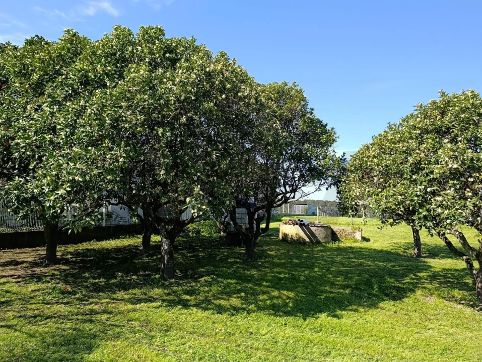 Moradia T2 para Venda em Pontevel Foto 11